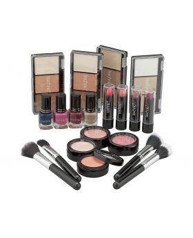 Technic Silver Colour Master Beauty Train Case