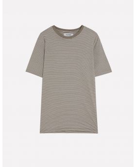 Short Sleeve TShirt